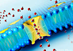Biologi